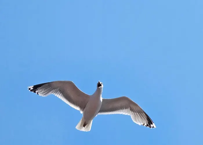 Apartmán Bursztynowy *