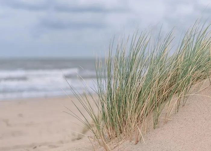 Apartmán Bursztynowy Rowy (Pomerania)